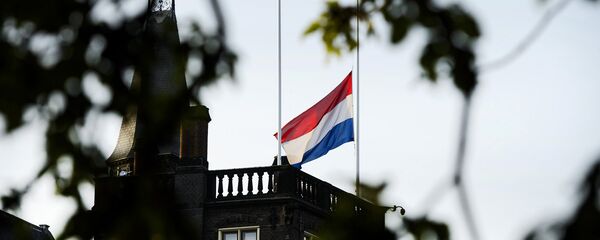 Флаг Нидерландов Флаг Нидерландов - Sputnik Латвия