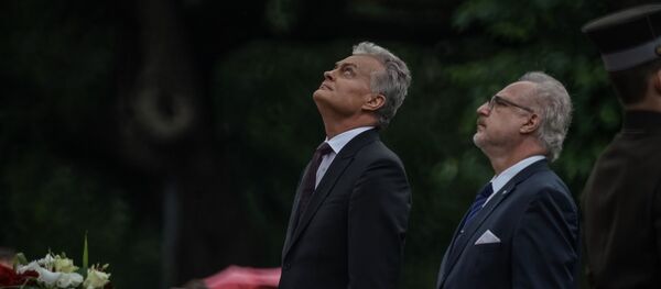 Президент Литвы Гитанас Науседа и президент Латвии Эгилс Левитс Президент Литвы Гитанас Науседа и президент Латвии Эгилс Левитс - Sputnik Латвия