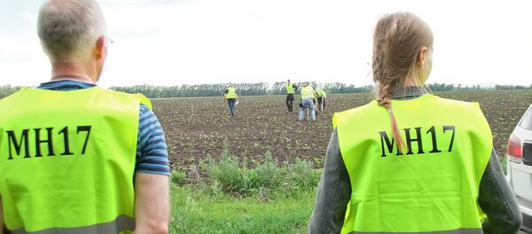 Международные эксперты прибыли в Донецк для расследования причин крушения малайзийского Boeing 777 Международные эксперты прибыли в Донецк для расследования причин крушения малайзийского Boeing 777 - Sputnik Latvija