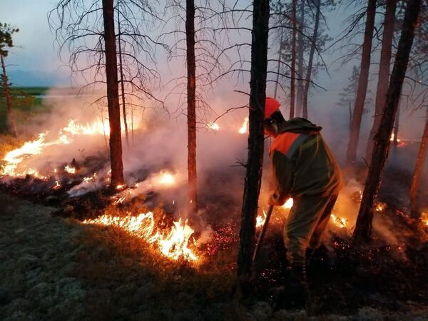 Сотрудники Министерства охраны природы Якутии борются с природными пожарами в Якутии - Sputnik Латвия