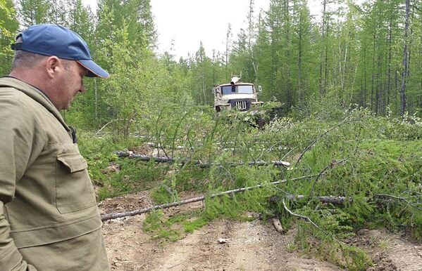 Работа по ликвидации последствий лесных пожаров в Якутии - Sputnik Latvija