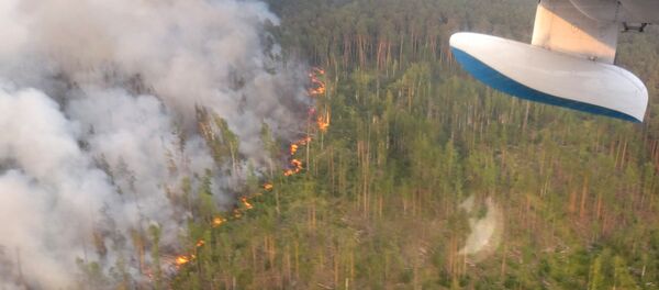 Лесной пожар в Богучанском районе Красноярского края, снятый с борта самолета Бе-200 Лесной пожар в Богучанском районе Красноярского края, снятый с борта самолета Бе-200 - Sputnik Latvija