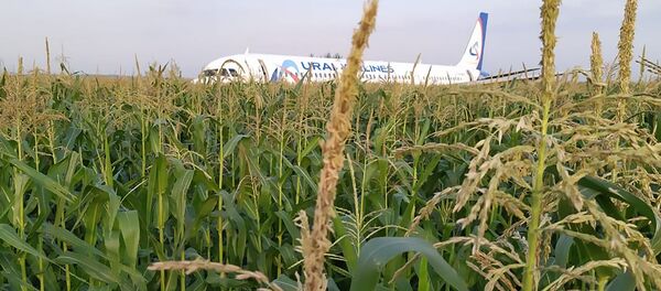 Самолет А-321 с пассажирами на борту совершил жесткую посадку в Подмосковье - Sputnik Латвия