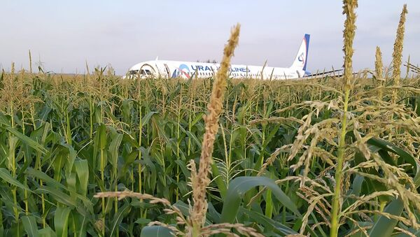Самолет А-321 с пассажирами на борту совершил жесткую посадку в Подмосковье - Sputnik Латвия