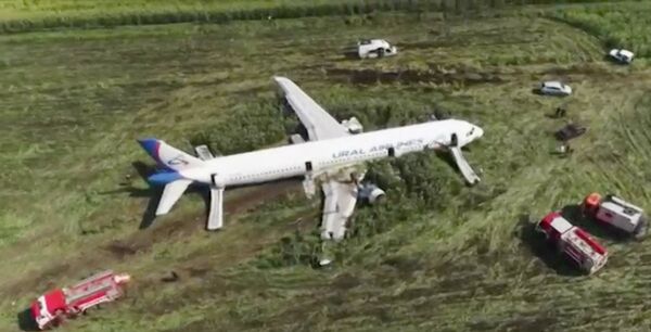 Последствия вынужденной посадки в Подмосковье лайнера Airbus А-321 авиакомпании Уральские авиалинии в результате попадания птиц в двигатели самолета  - Sputnik Латвия