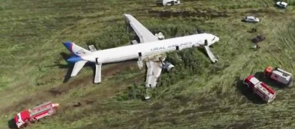 Путин наградил экипаж Airbus A321 после вынужденной посадки на поле - Sputnik Латвия