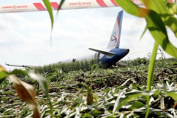 Последствия вынужденной посадки в Подмосковье лайнера Airbus А-321 авиакомпании Уральские авиалинии в результате попадания птиц в двигатели самолета - Sputnik Латвия