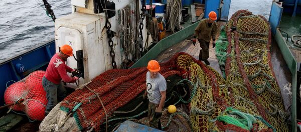 Выборка невода на рыболовном сейнере - Sputnik Латвия
