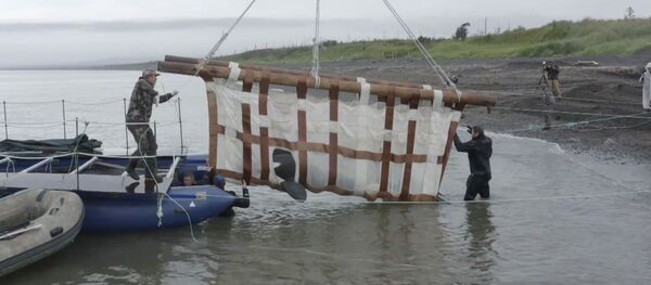 Последних косаток и группу белух из китовой тюрьмы выпустили на волю - Sputnik Латвия