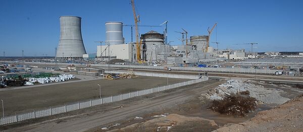 Яблоко раздора: Латвия и Литва ссорятся из-за БелАЭС Яблоко раздора: Латвия и Литва ссорятся из-за БелАЭС - Sputnik Latvija