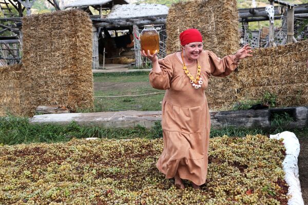 Женщина давит виноград на Празднике винограда в интерактивном парке Викинг в селе Перевальное Симферопольского района - Sputnik Латвия