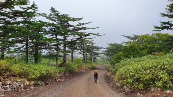 Строители из Узбекистана: на Курилах не обманывают — это не Москва Строители из Узбекистана: на Курилах не обманывают — это не Москва - Sputnik Латвия