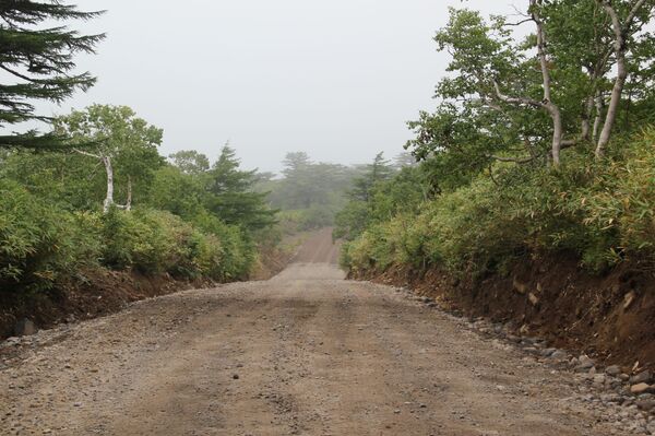 Строители из Узбекистана: на Курилах не обманывают — это не Москва Строители из Узбекистана: на Курилах не обманывают — это не Москва - Sputnik Латвия