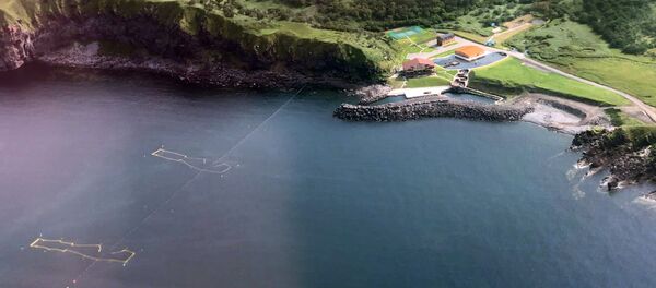 Вид на остров Итуруп с борта самолета - Sputnik Латвия