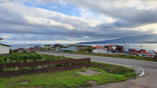 Печаль в глазах японцев: как живет остров Кунашир сегодня Печаль в глазах японцев: как живет остров Кунашир сегодня - Sputnik Латвия