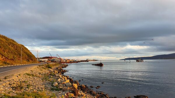 Печаль в глазах японцев: как живет остров Кунашир сегодня Печаль в глазах японцев: как живет остров Кунашир сегодня - Sputnik Латвия
