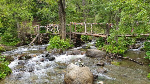 Потратить сто долларов и не пожалеть: чем способен удивить Сахалин - Sputnik Латвия