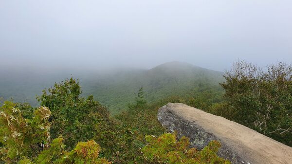 Афротатары уже не экзотика: кто проживает на Сахалине сегодня - Sputnik Латвия