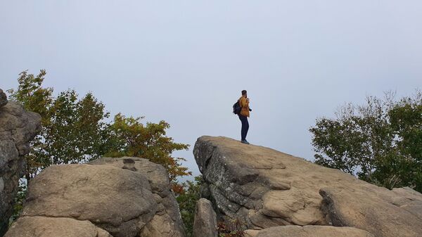 Потратить сто долларов и не пожалеть: чем способен удивить Сахалин - Sputnik Латвия