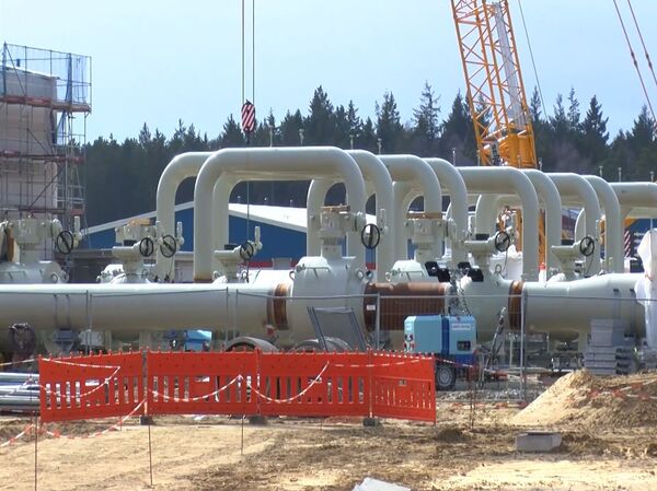 Эксперт предложил США измерить газового удава в попугаях - может, хоть так обгонят РФ - Sputnik Латвия