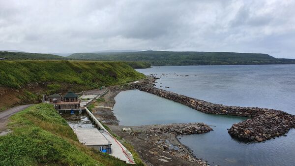 Сюда не приезжают пить кока-колу: что делать туристу на Курильских островах - Sputnik Латвия