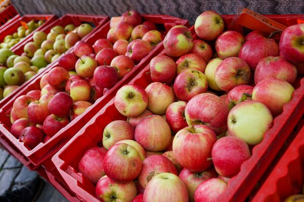 Урожай яблок в Латвии, как видно, не пострадал - Sputnik Латвия