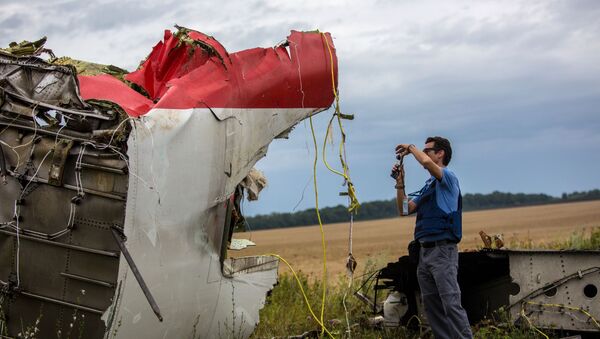Поисковые работы на месте крушения малайзийского лайнера Boeing 777 в районе Шахтерска - Sputnik Latvija