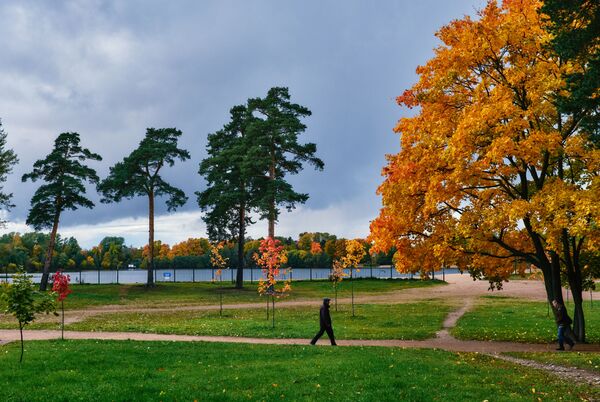 Прохожий гуляет в парке около Суздальских озер в Санкт-Петербурге - Sputnik Латвия