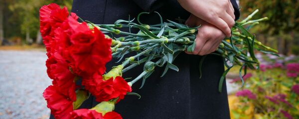 Гвоздики - Sputnik Латвия