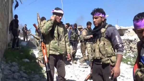 Коалиционная интрига: особенности военной операции Турции в Сирии - Sputnik Латвия