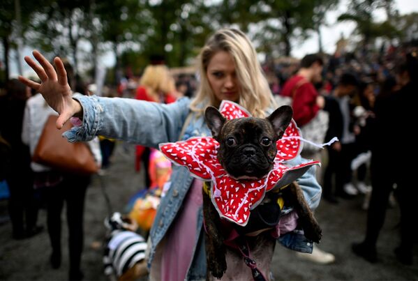 Участник ежегодного Хэллоуин-парада собак в Нью-Йорке - Sputnik Латвия