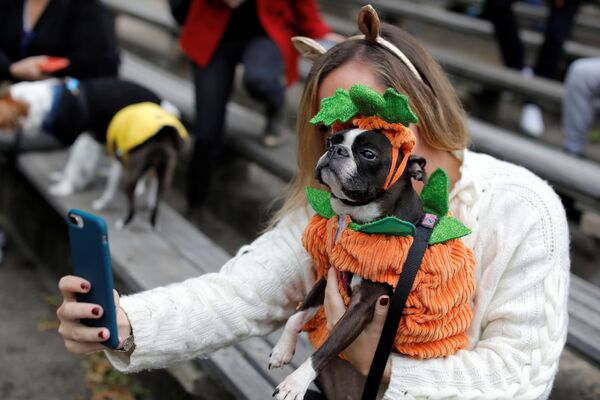 Участники ежегодного Хэллоуин-парада собак в Нью-Йорке - Sputnik Латвия