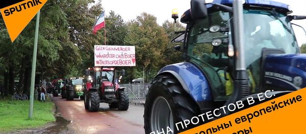 Волна протестов в ЕС: чем недовольны европейские фермеры - Sputnik Латвия