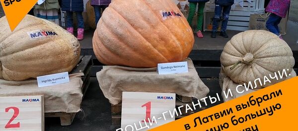 Овощи-гиганты и силачи: в Латвии выбрали самую большую тыкву  - Sputnik Латвия