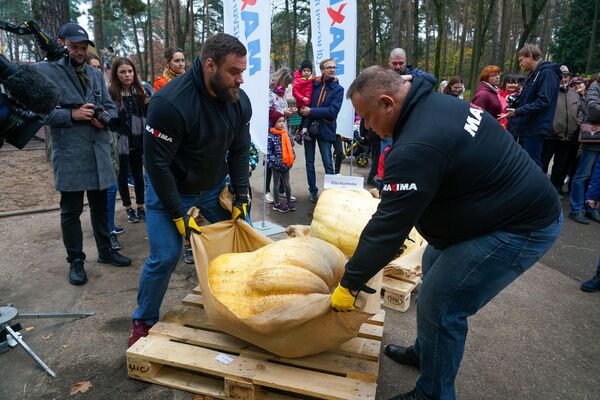 Как мечта превратилась в тыкву: самый символичный праздник Латвии - Sputnik Латвия