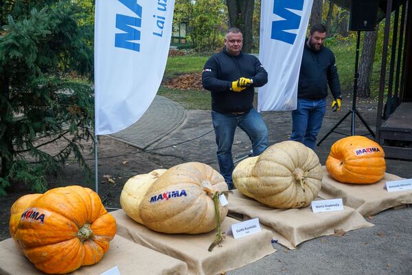 Как мечта превратилась в тыкву: самый символичный праздник Латвии - Sputnik Латвия