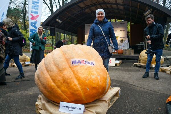 Как мечта превратилась в тыкву: самый символичный праздник Латвии - Sputnik Латвия