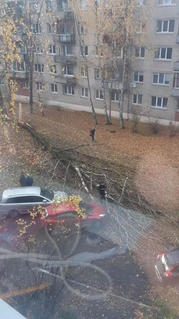 Закройте окна, запаситесь водой и едой, достаньте фонарики! В Риге бушует ураган - Sputnik Латвия