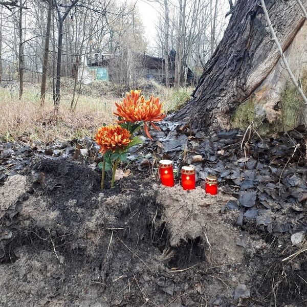 Нужен жесткий ответ России: русские Латвии хотят наказания ответственных за снос памятника Нужен жесткий ответ России: русские Латвии хотят наказания ответственных за снос памятника - Sputnik Латвия