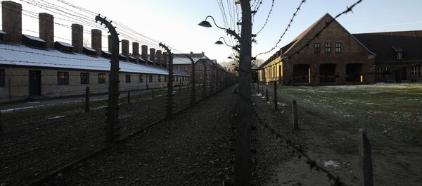 На территория бывшего концлагеря Освенцим в Германии На территория бывшего концлагеря Освенцим в Германии - Sputnik Latvija
