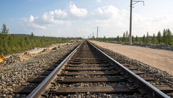 Dzelzceļš. Foto no arhīva - Sputnik Latvija