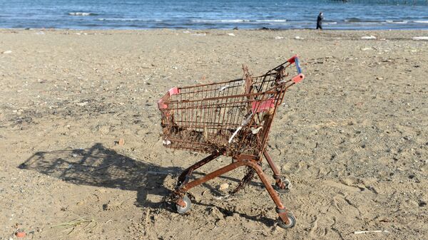Ржавая тележка для покупок на пляже - Sputnik Латвия
