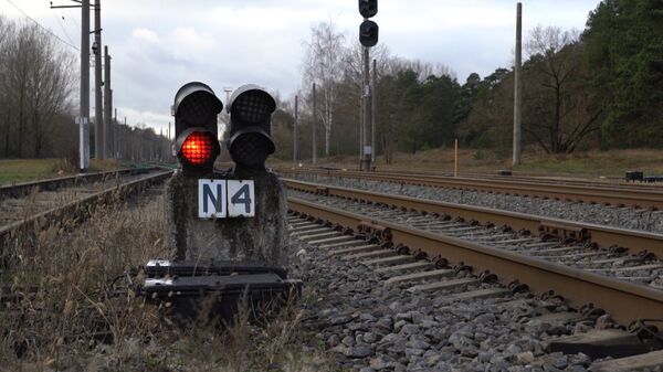 У Латвии отняли миллиард: балтийскому тигру не докладывают мяса - Sputnik Латвия