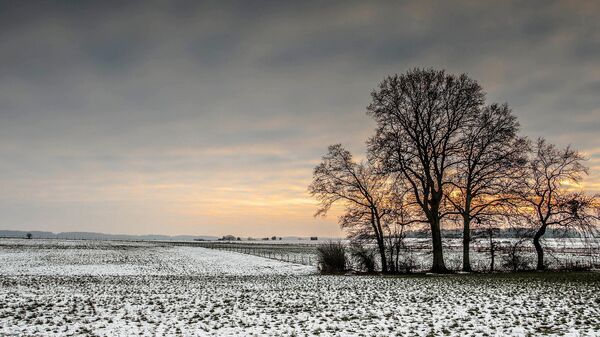 Зимнее поле, архивное фото - Sputnik Латвия
