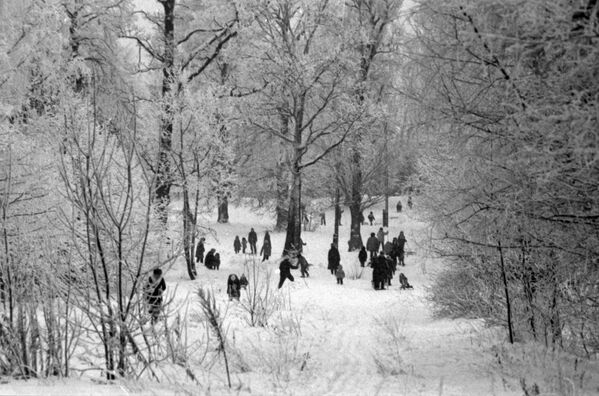 Жители московского микрорайона Ясенево на прогулке в зимнем парке - Sputnik Латвия