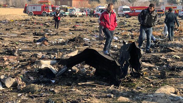 Крушение украинского самолета в Иране - Sputnik Latvija