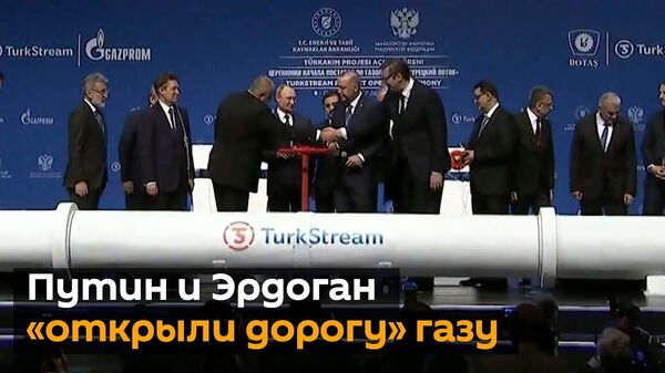 Путин и Эрдоган запустили Турецкий поток - Sputnik Латвия