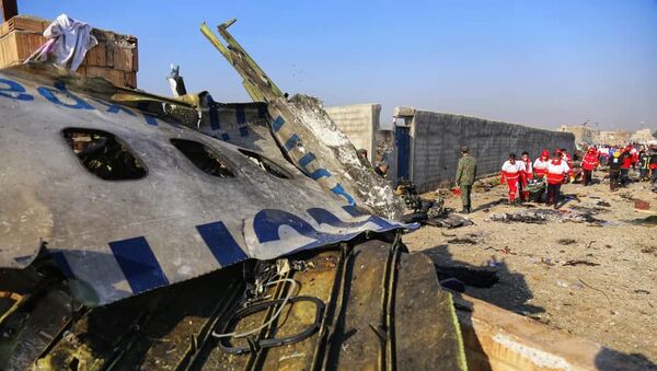 Украинский пассажирский самолет потерпел крушение в Иране - Sputnik Latvija