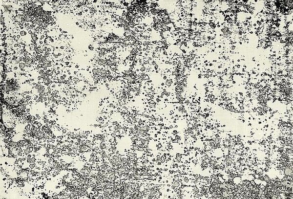 От Юрия Гагарина до Раймонда Паулса:  пять выставок, чтобы пережить зиму - Sputnik Латвия