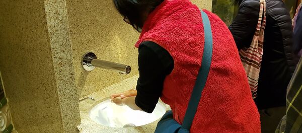 Люди моют руки на борту круизного лайнера Diamond Princes, помещенного в карантин у японского порта Йокогама - Sputnik Латвия